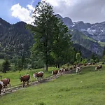 Bio Bauernhof Vorderoberlehen Penzion Werfenweng