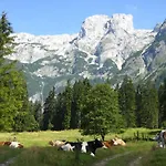 Bio Bauernhof Vorderoberlehen 3* Werfenweng