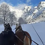 Bio Bauernhof Vorderoberlehen Vendégház 3*