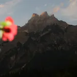 Bio Bauernhof Vorderoberlehen Penzion Werfenweng