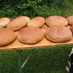 Bio Bauernhof Vorderoberlehen Werfenweng