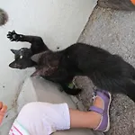 Bio Bauernhof Vorderoberlehen Penzion 3*