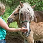 Bio Bauernhof Vorderoberlehen 3*