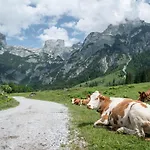 Bio Bauernhof Vorderoberlehen Penzion 3*