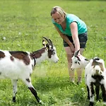 Bio Bauernhof Vorderoberlehen Penzion 3*