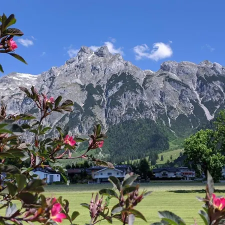Bio Bauernhof Vorderoberlehen Konukevi Werfenweng