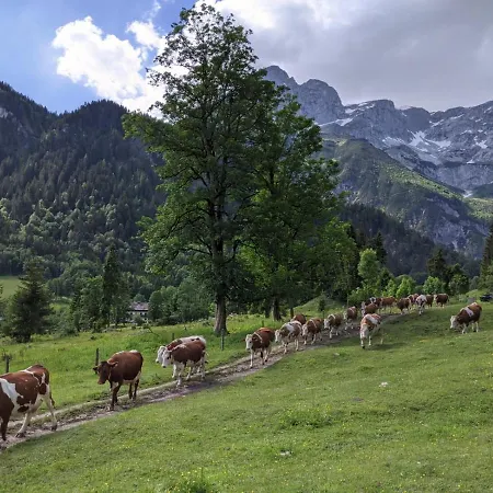 Bio Bauernhof Vorderoberlehen Konukevi Werfenweng