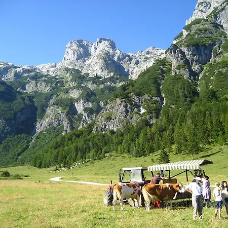 Bio Bauernhof Vorderoberlehen 4*