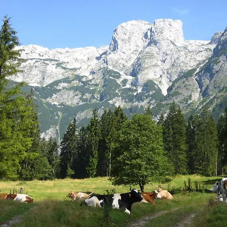 Bio Bauernhof Vorderoberlehen 4* Werfenweng