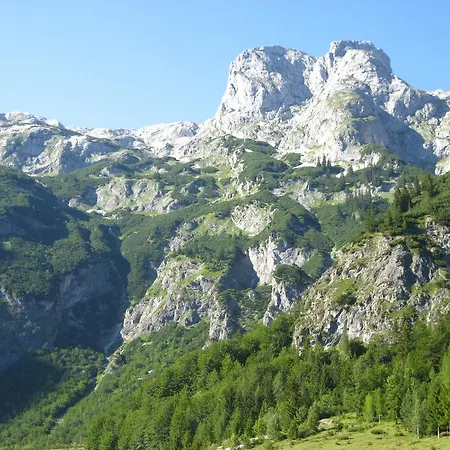 Guest house Bio Bauernhof Vorderoberlehen