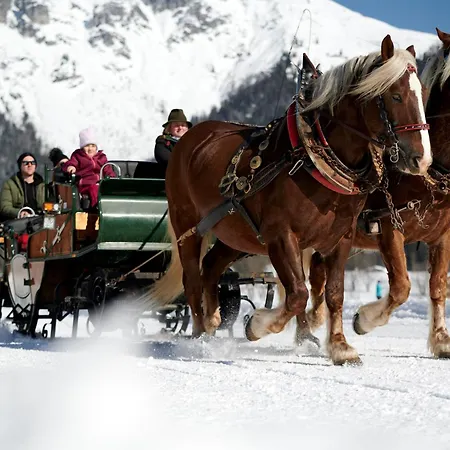 Guest house Bio Bauernhof Vorderoberlehen