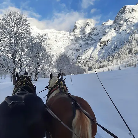 Bio Bauernhof Vorderoberlehen Konukevi 3*