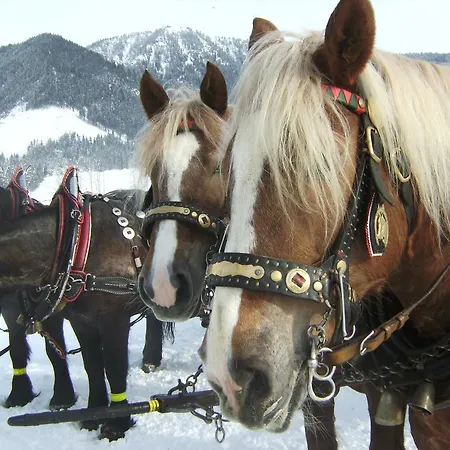 Guest house Bio Bauernhof Vorderoberlehen