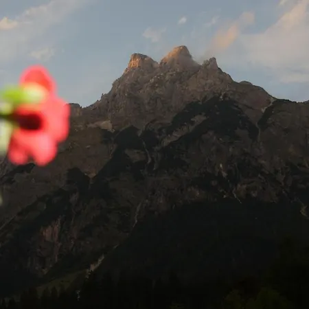 Bio Bauernhof Vorderoberlehen Gasthuis Werfenweng