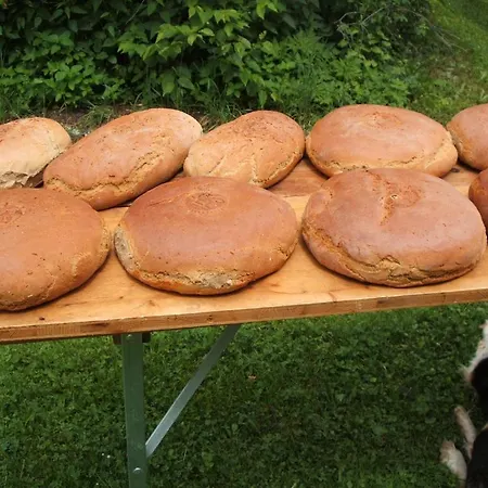 Bio Bauernhof Vorderoberlehen Werfenweng