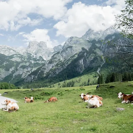 Bio Bauernhof Vorderoberlehen
