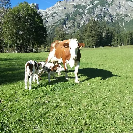 Bio Bauernhof Vorderoberlehen Guest house 4*