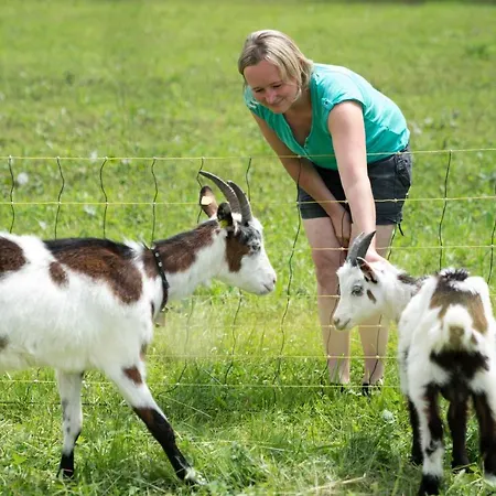 Bio Bauernhof Vorderoberlehen Guest house 3*