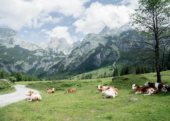 Bio Bauernhof Vorderoberlehen