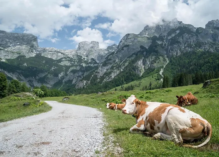 Bio Bauernhof Vorderoberlehen Konukevi 3*