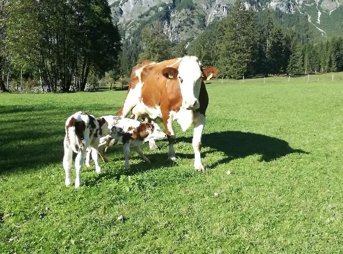 Bio Bauernhof Vorderoberlehen Konukevi 3*