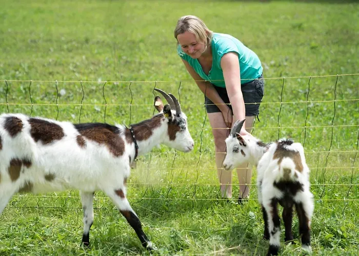 Bio Bauernhof Vorderoberlehen Konukevi 3*